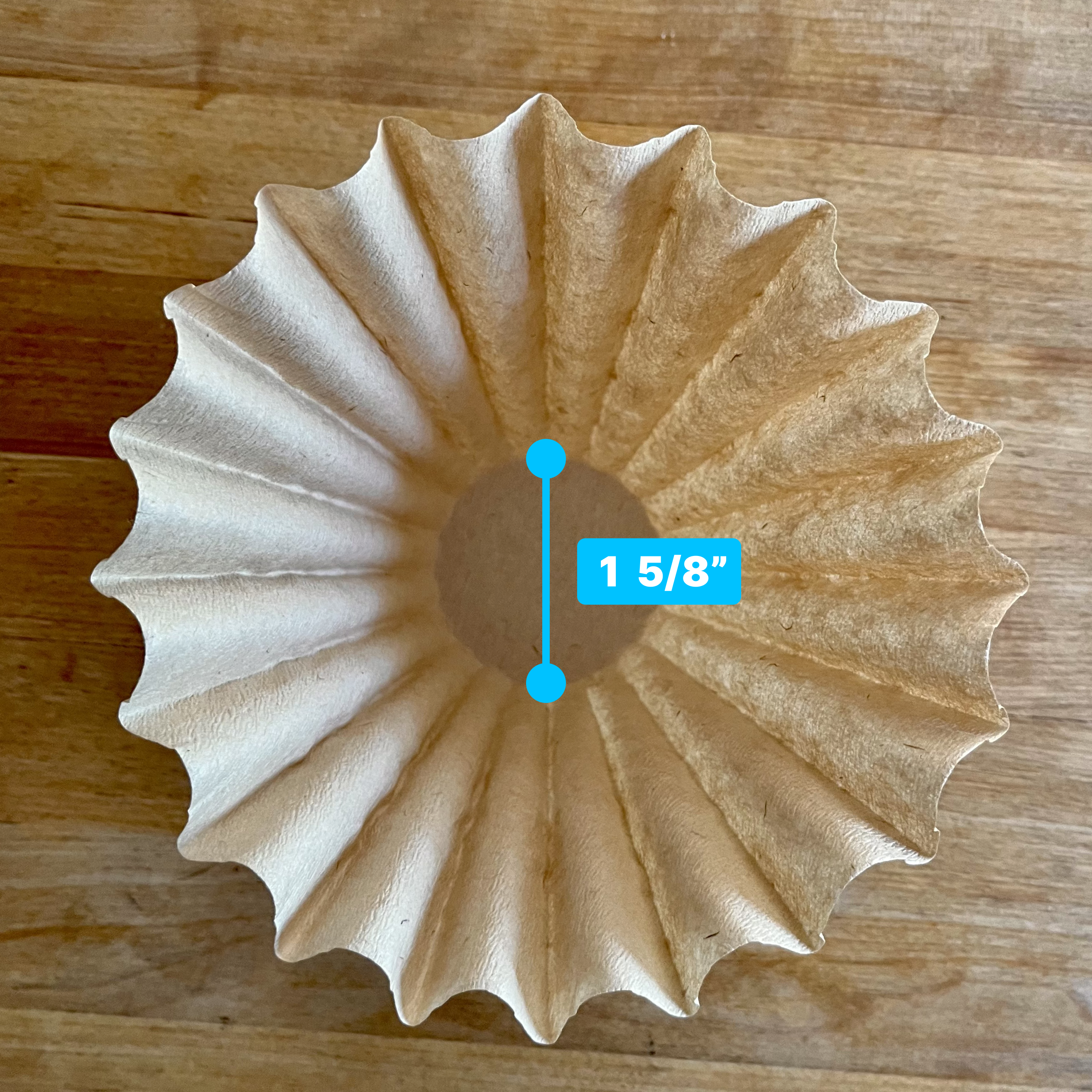 Blue Bottle Filters Dimensions - Base.png